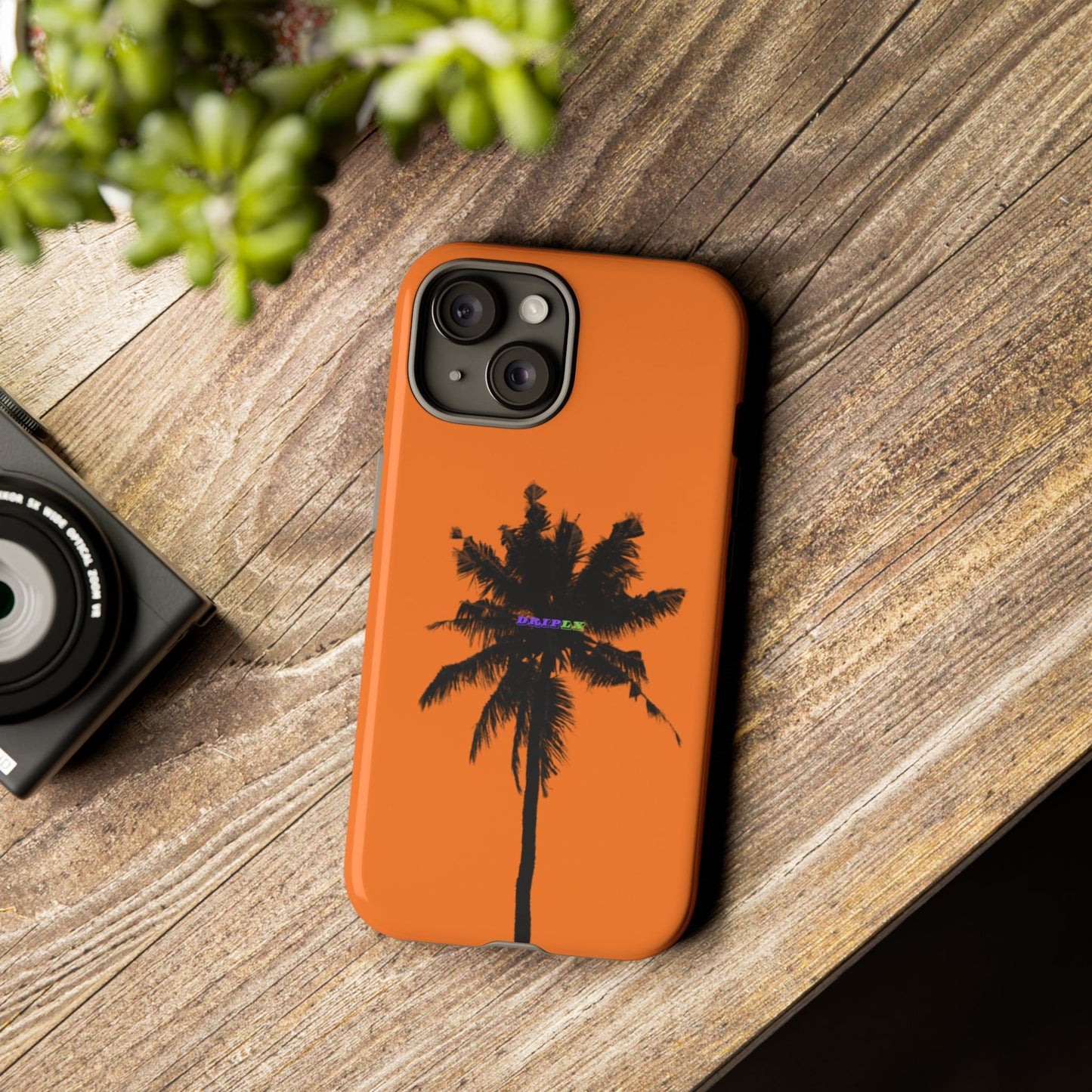 Tropical Palm Tree
