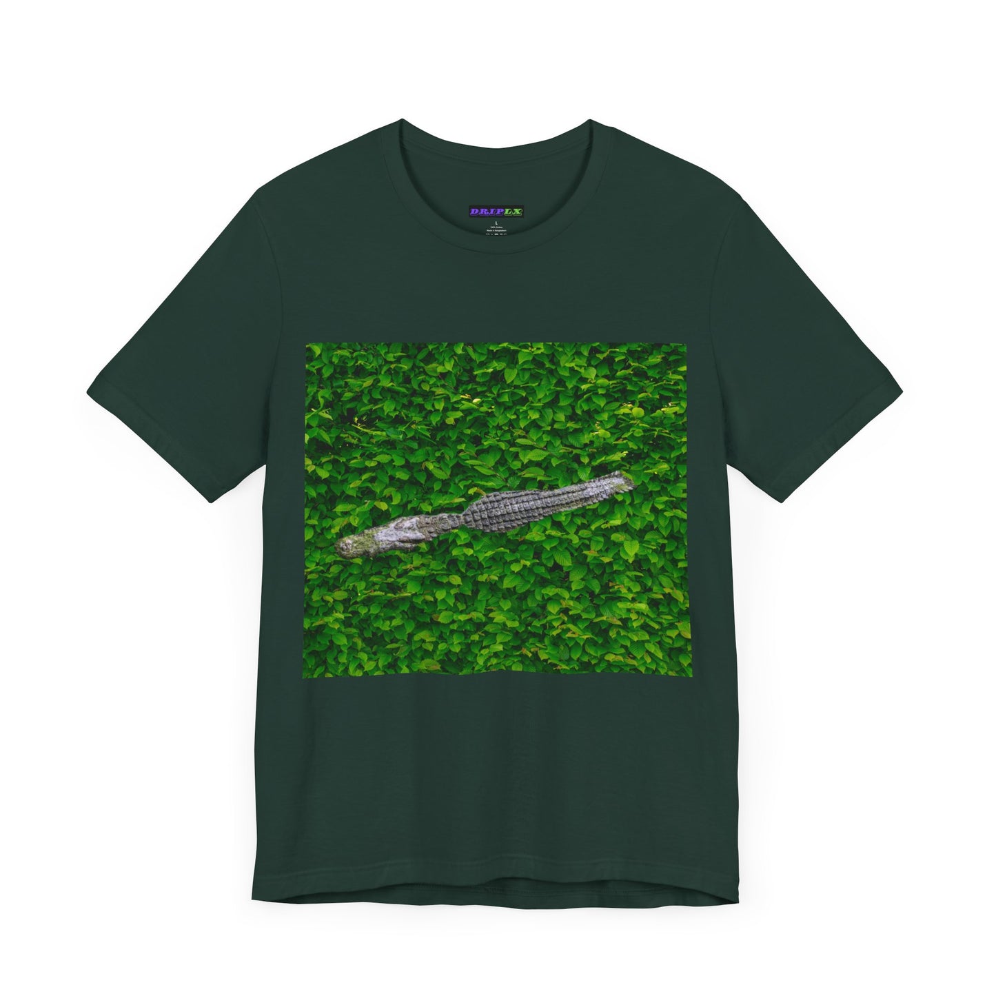 Mr. Crocodile