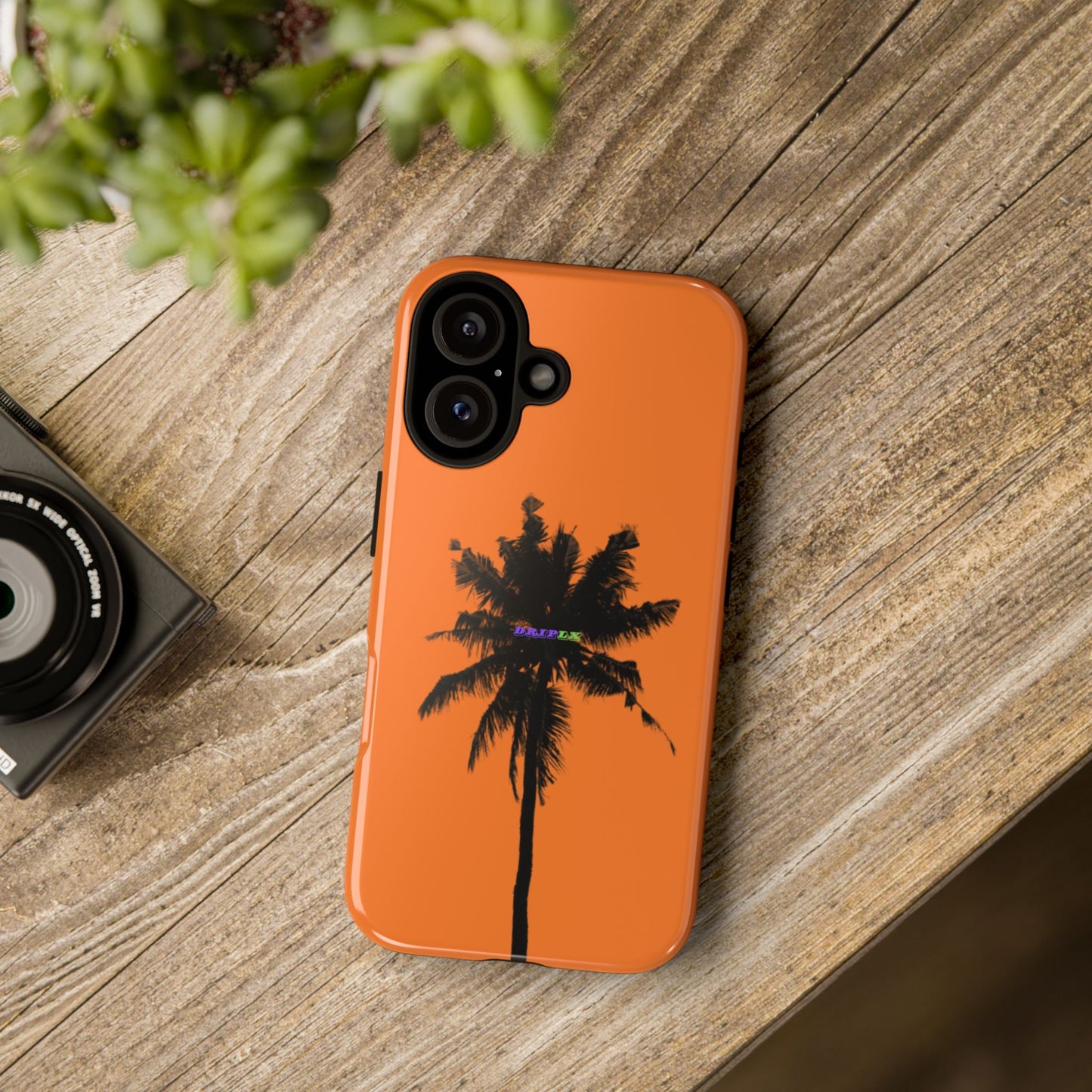 Tropical Palm Tree
