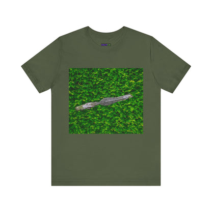 Mr. Crocodile