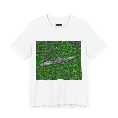 Mr. Crocodile