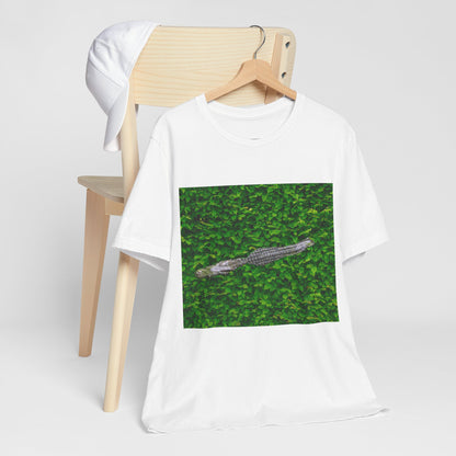 Mr. Crocodile