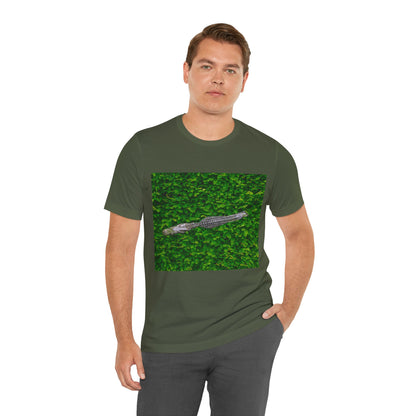 Mr. Crocodile
