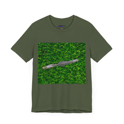 Mr. Crocodile