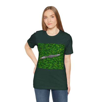 Mr. Crocodile