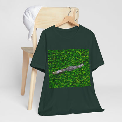 Mr. Crocodile