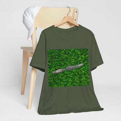Mr. Crocodile