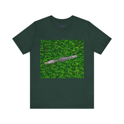 Mr. Crocodile