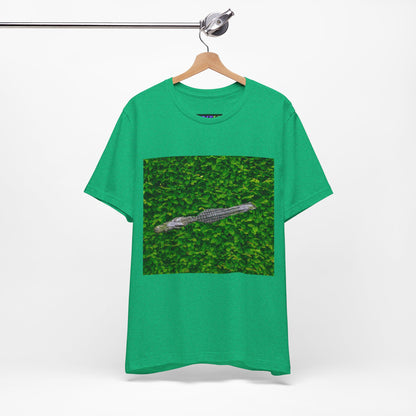 Mr. Crocodile