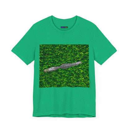 Mr. Crocodile