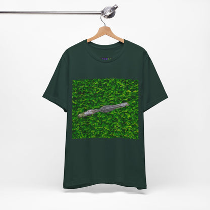 Mr. Crocodile