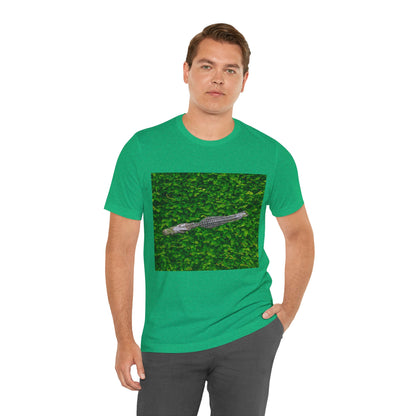 Mr. Crocodile