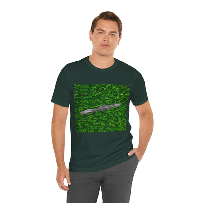 Mr. Crocodile