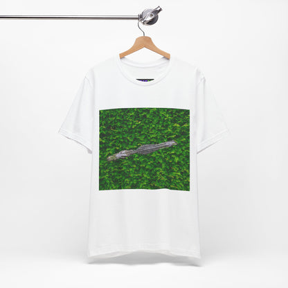 Mr. Crocodile