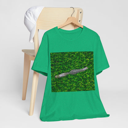 Mr. Crocodile