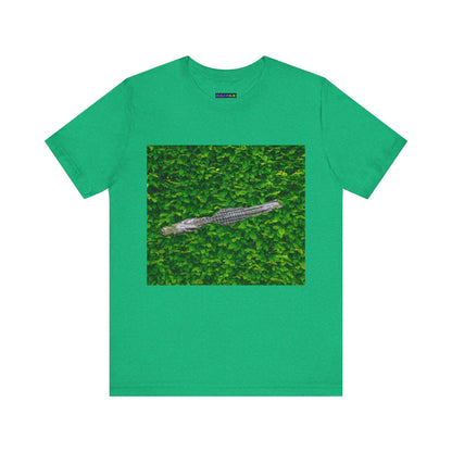 Mr. Crocodile