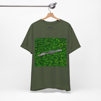 Mr. Crocodile