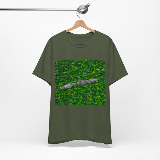 Mr. Crocodile